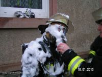 Feueralarm